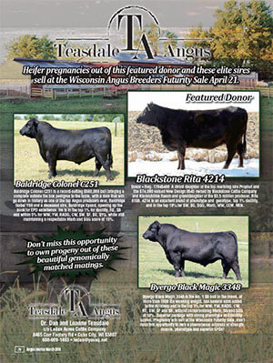 Wisconsin Angus Breeders Futurity Sale